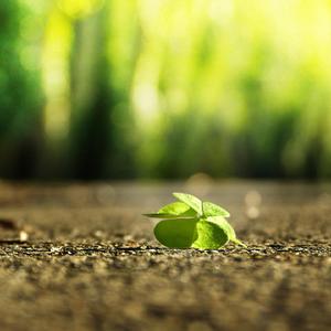 男模同志露屁股
